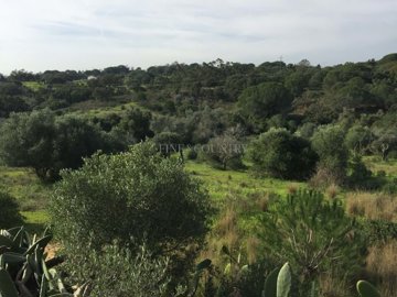 2104-369447-14d4e763c151089fe37f379b2f9be1ace