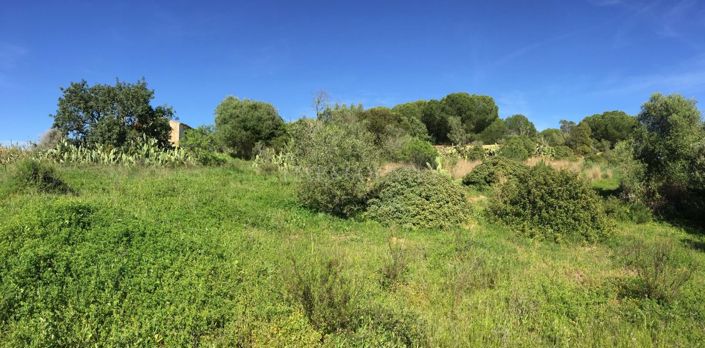 Image No.11-Plot for sale