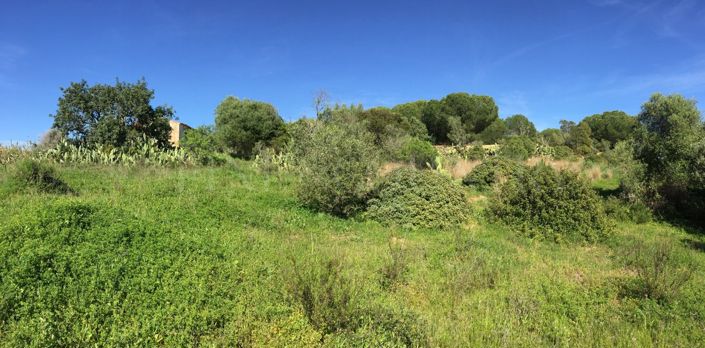Image No.12-Plot for sale