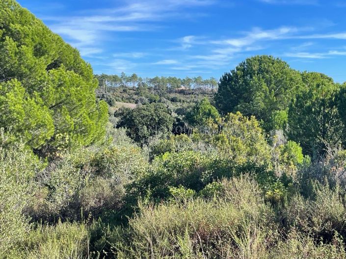 Image No.12-Plot for sale