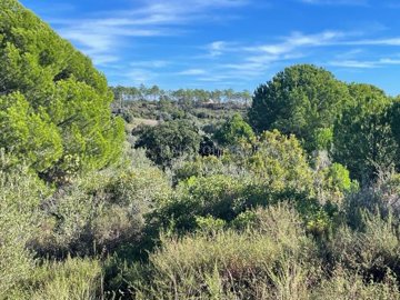 2104-369447-14d4e763c151089fe37f379b2f9be1ace