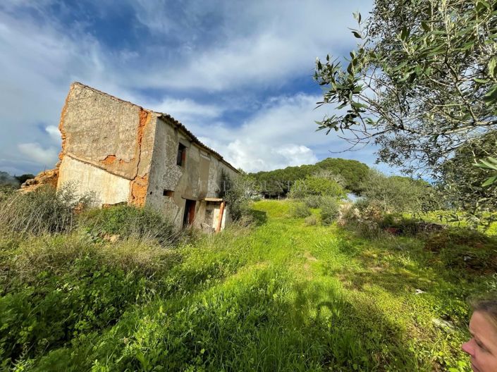 Image No.13-Plot for sale