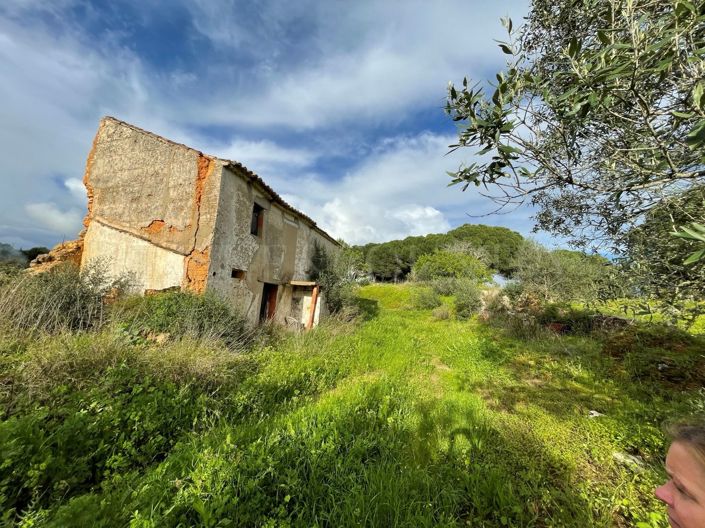 Image No.14-Plot for sale