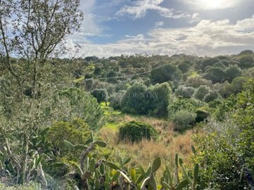 2104-369447-14d4e763c151089fe37f379b2f9be1ace