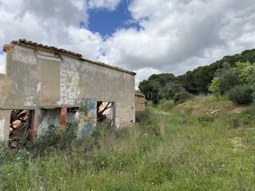 2104-369447-14d4e763c151089fe37f379b2f9be1ace