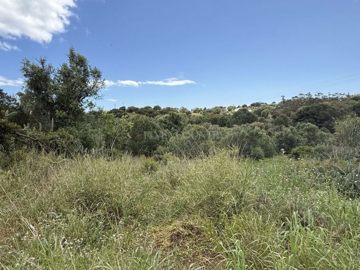 Image No.19-Terrain à vendre à Carvoeiro