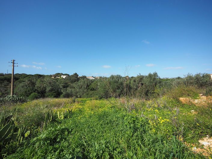 Image No.7-Plot for sale