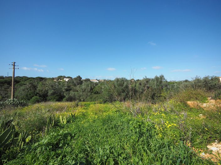 Image No.8-Plot for sale