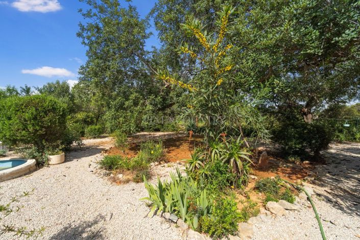 Image No.28-6 Bed Country House for sale