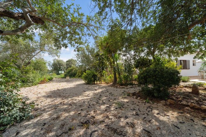 Image No.41-6 Bed Country House for sale