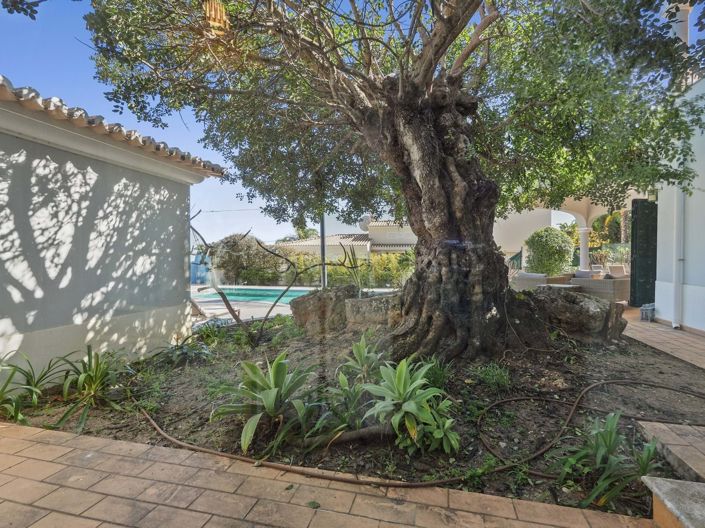 Image No.20-3 Bed Property for sale