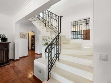 2104-373754-14d4e763c151089fe37f379b2f9be1ace