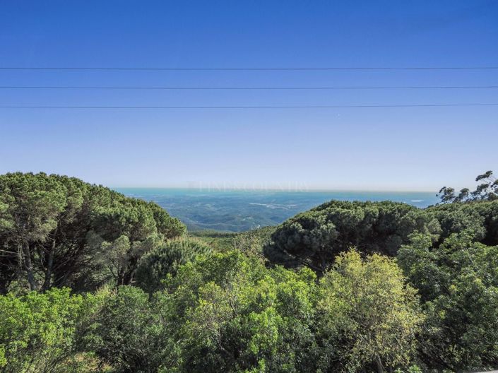 Image No.41-Propriété de 4 chambres à vendre à Monchique