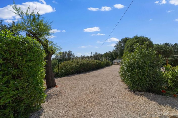 Image No.5-6 Bed Country House for sale