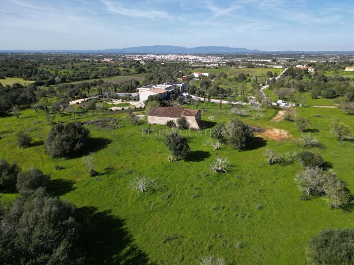 Image No.4-Plot for sale