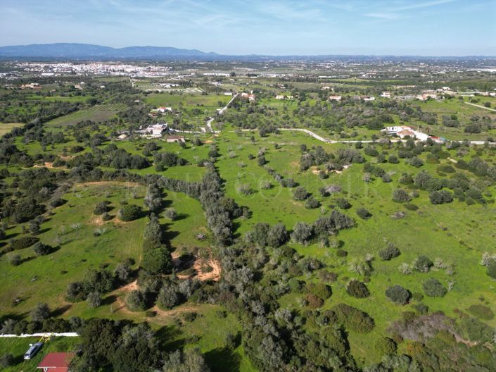 Image No.14-Plot for sale