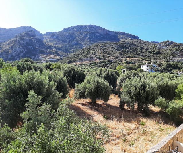 Image No.38-2 Bed House/Villa for sale