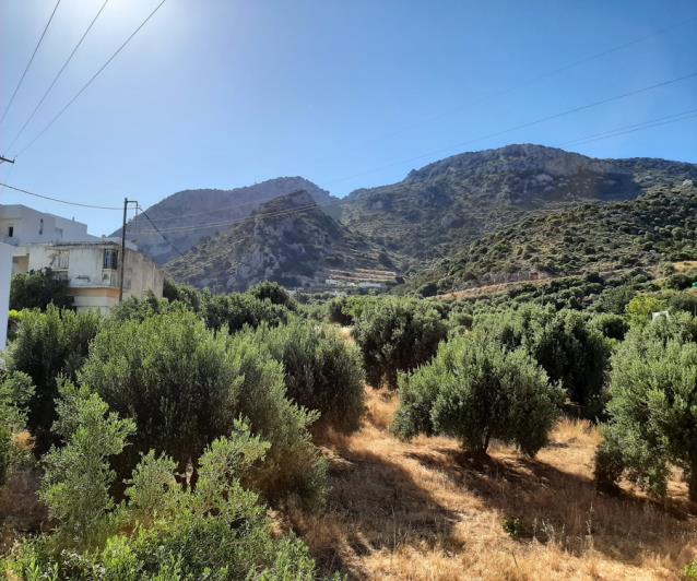 Image No.39-2 Bed House/Villa for sale