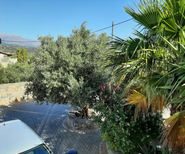 Image No.47-2 Bed House/Villa for sale