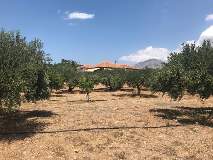 Image No.2-2 Bed House/Villa for sale