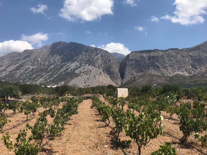 Image No.28-2 Bed House/Villa for sale