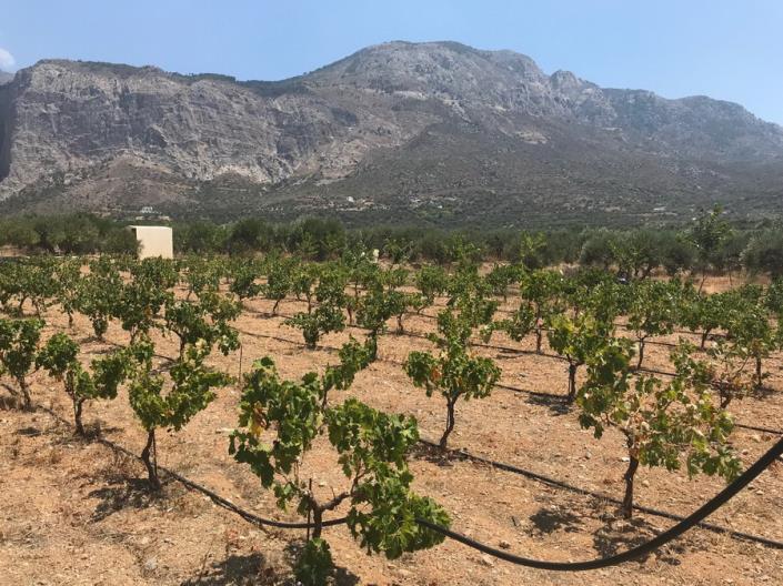 Image No.27-2 Bed House/Villa for sale