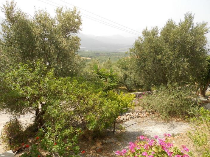 Image No.8-3 Bed House for sale