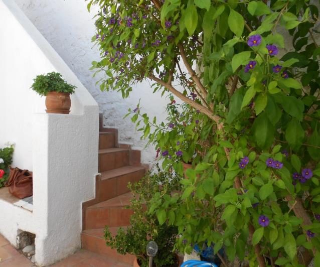 Image No.3-2 Bed Village House for sale