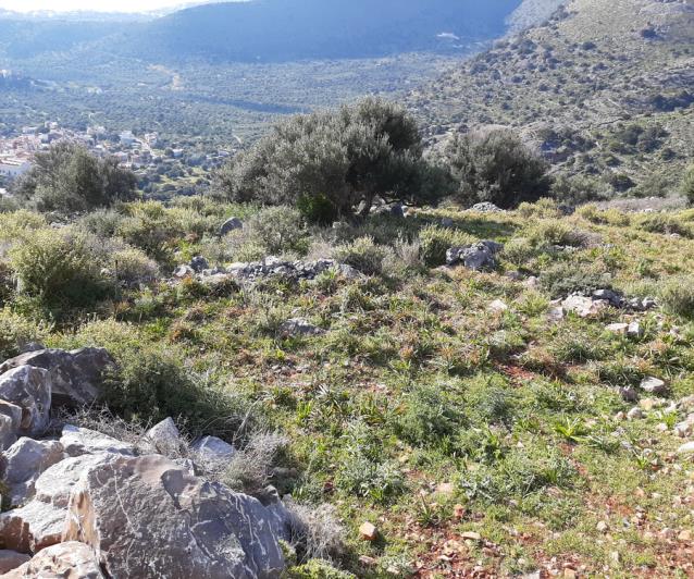 Image No.6-Terrain à vendre à Elounda