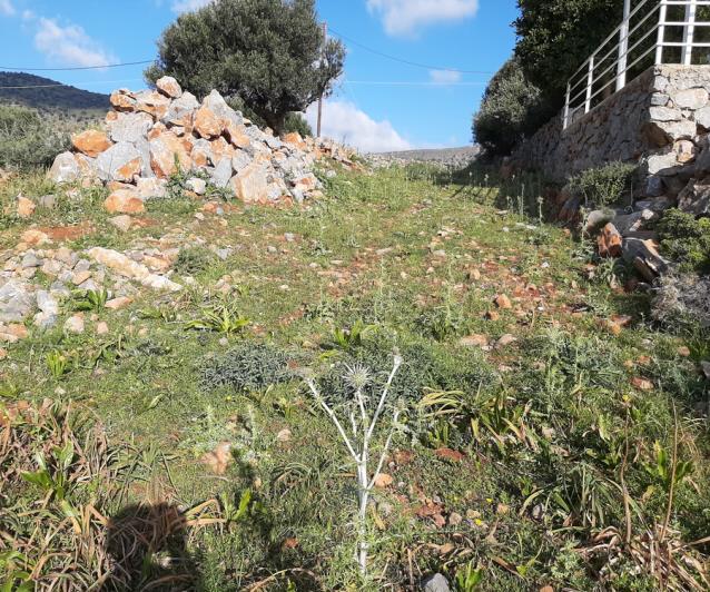 Image No.7-Terrain à vendre à Elounda