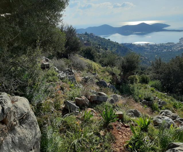 Image No.8-Terrain à vendre à Elounda