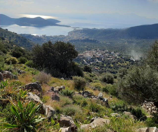 Image No.13-Terrain à vendre à Elounda