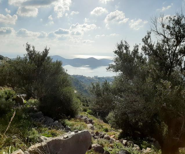 Image No.16-Terrain à vendre à Elounda