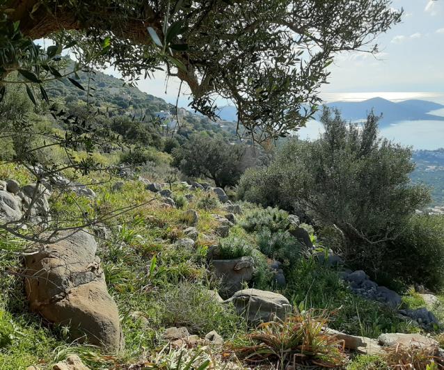 Image No.17-Terrain à vendre à Elounda