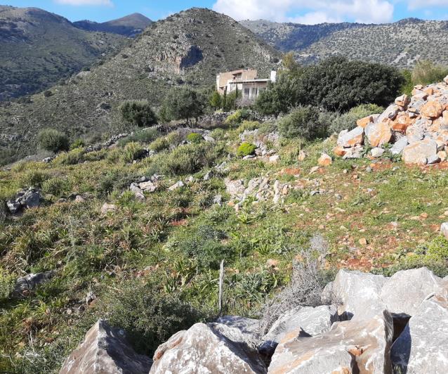 Image No.18-Terrain à vendre à Elounda