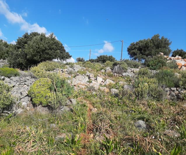 Image No.19-Terrain à vendre à Elounda