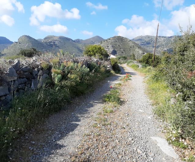Image No.22-Terrain à vendre à Elounda