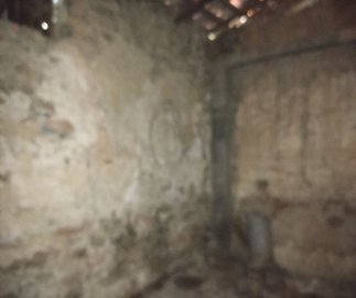 img20211211111341resize