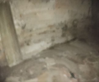 img20211211111414resize