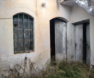 img20211211111022resize