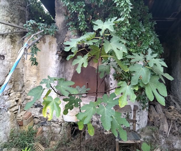 Image No.18-3 Bed House for sale