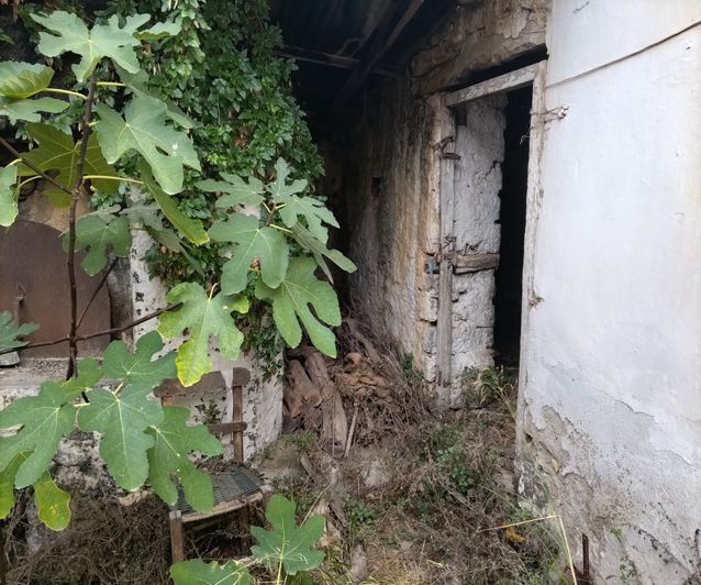 Image No.14-3 Bed House for sale