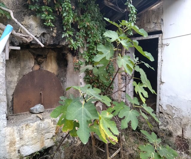 Image No.21-3 Bed House for sale