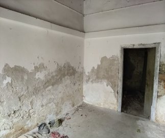 img20211211111146resize