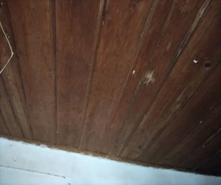 img20211211111152resize