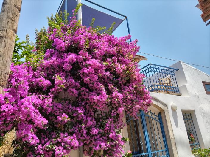 Image No.3-2 Bed Village House for sale