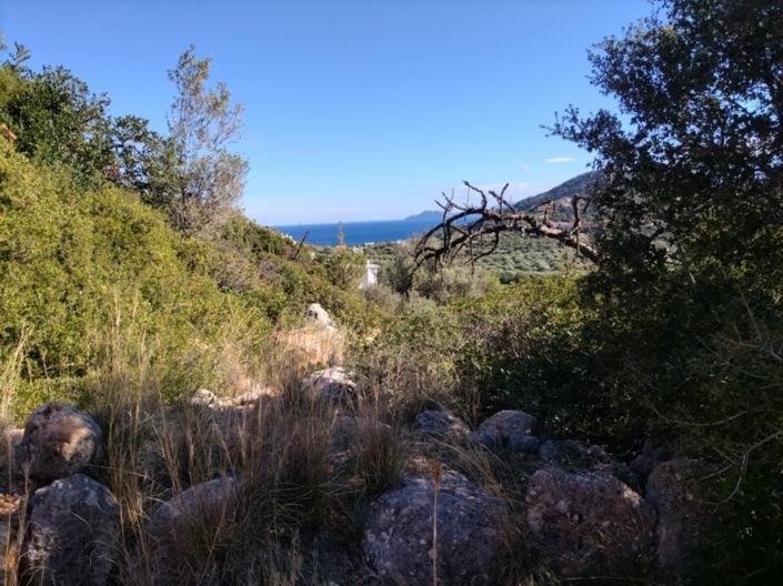 Image No.2-Terre à vendre à Agios Nikolaos