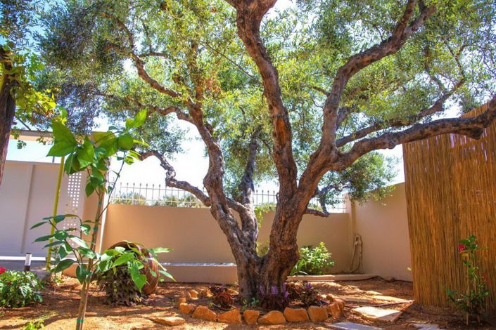 Image No.7-2 Bed House for sale