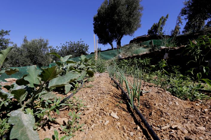 Image No.50-Villa de 11 chambres à vendre à Achlada