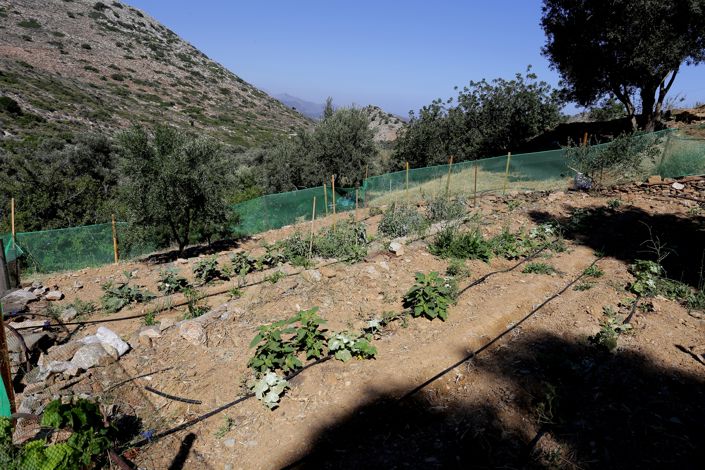 Image No.51-Villa de 11 chambres à vendre à Achlada